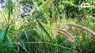 HD Gay Porn Movies 2